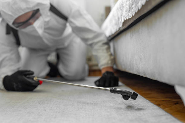 Professional Pest Control technician working in Holly Hills, CO