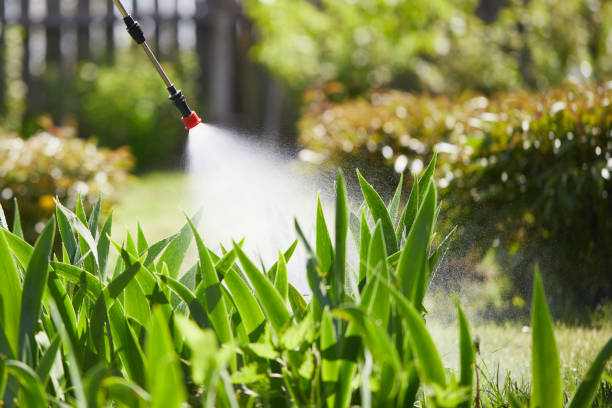 24/7 Emergency Fumigation Services experts in Holly Hills, CO